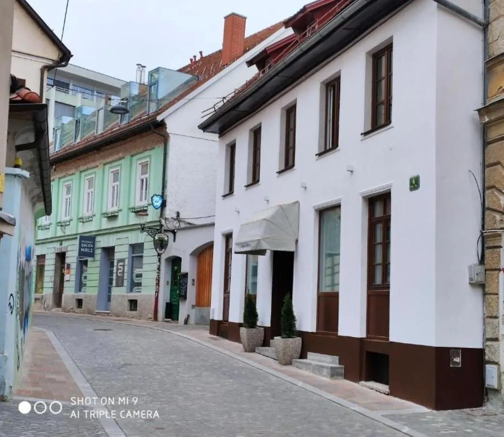 Guest house Aparthotel Cross Street 4 Ljubljana