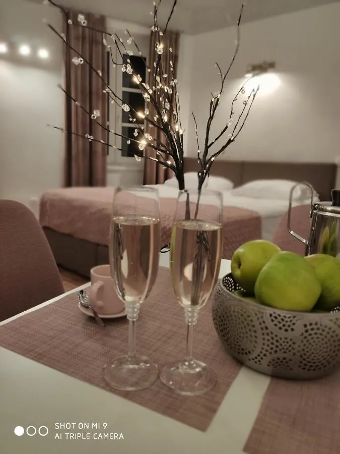 Aparthotel Cross Street 4 Ljubljana