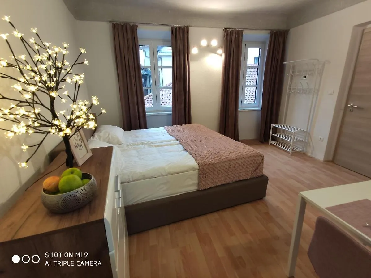 Aparthotel Cross Street 4 Ljubljana Slovenia