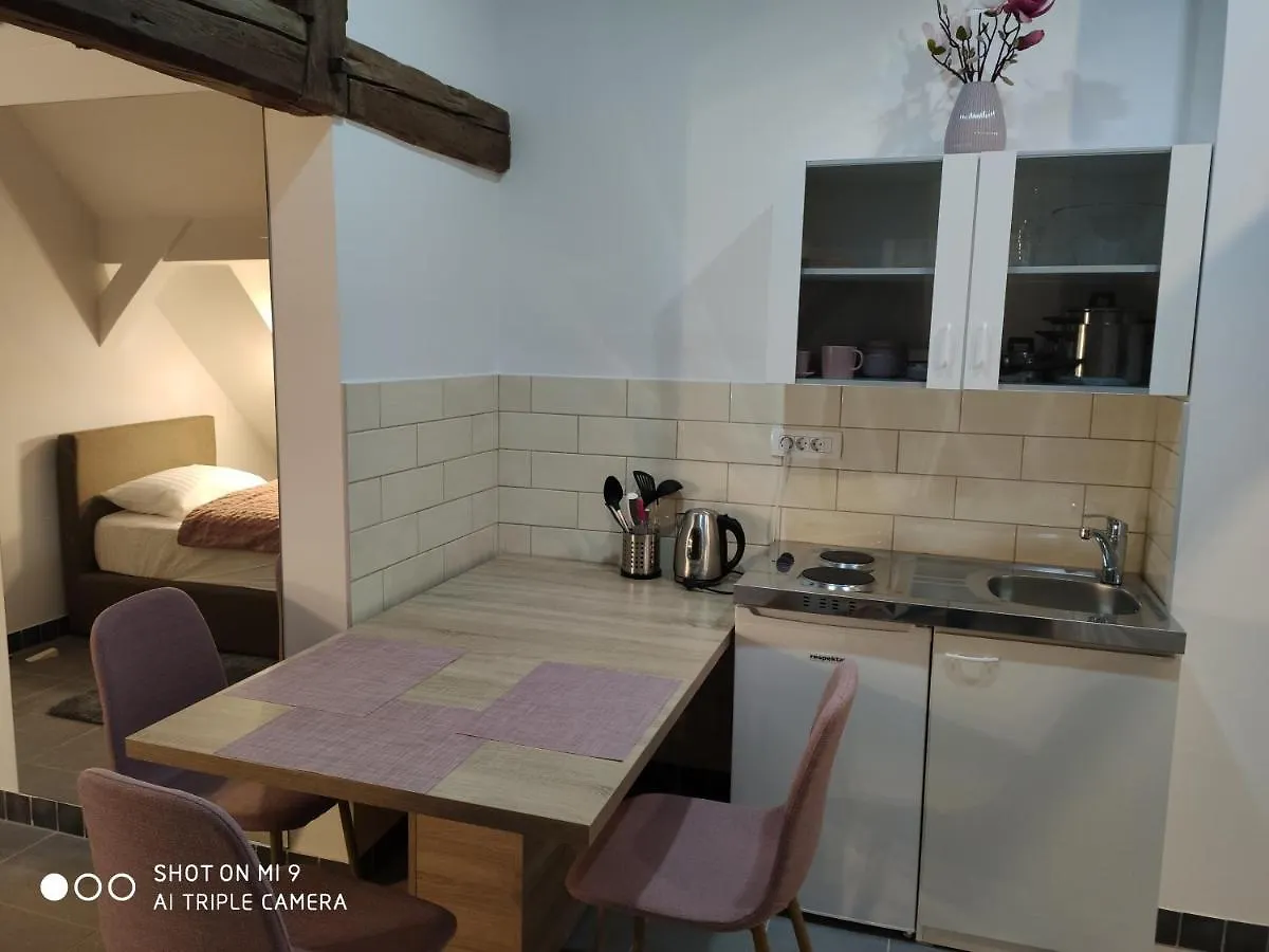 Guest house Aparthotel Cross Street 4 Ljubljana Slovenia